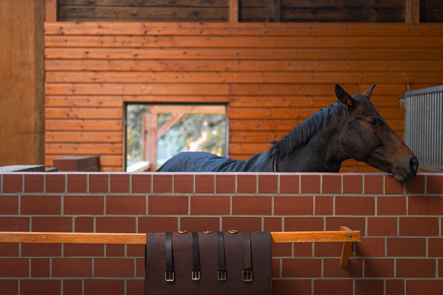 Verschiedene Guertel auf Leder im Stall