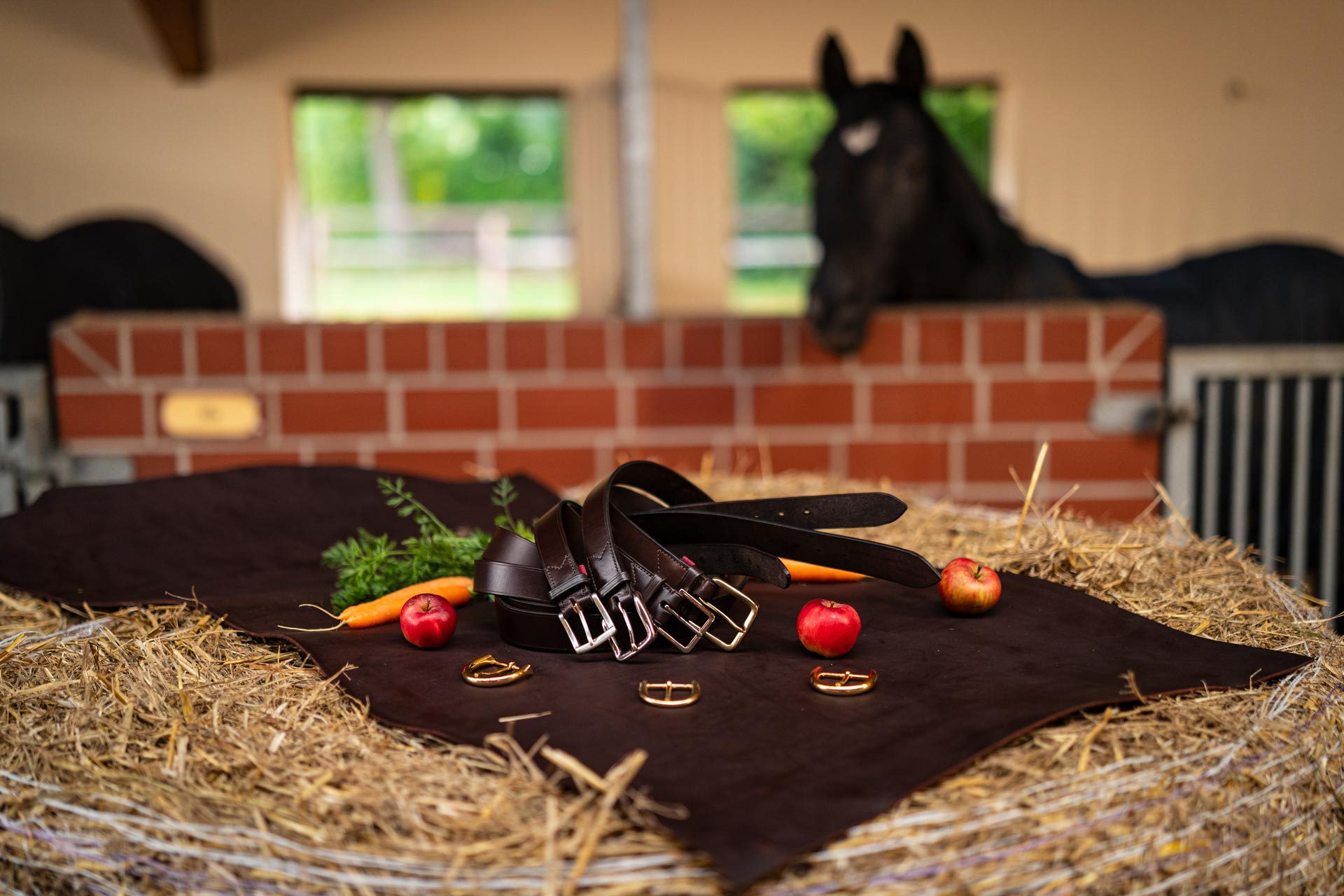 HÖPFNER Gürtel in verschieden Ausführungen - Bei HÖPFNER erwartet Sie echtes Sattlerhandwerk